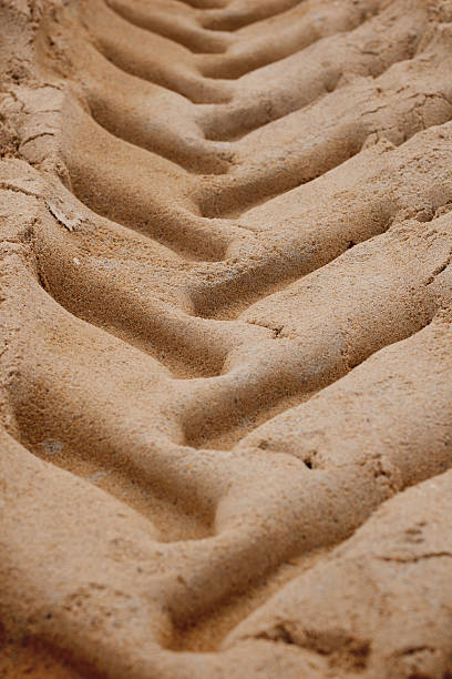 istock Tire Tracks in the Sand 455643719
