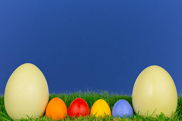 istock Easter eggs Nanduei Meadow Heaven 2 455646645