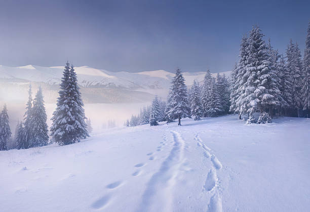 istock Foggy winter morning in the mountains 455647577