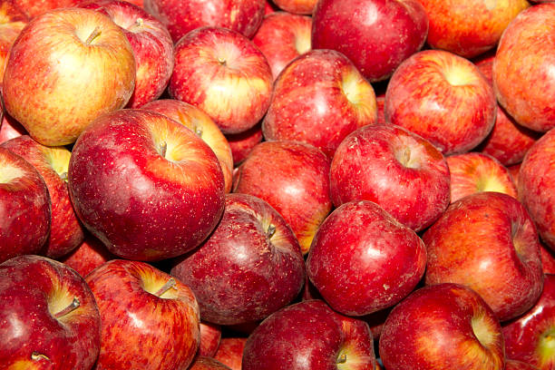 istock large group of red apples background 455648287
