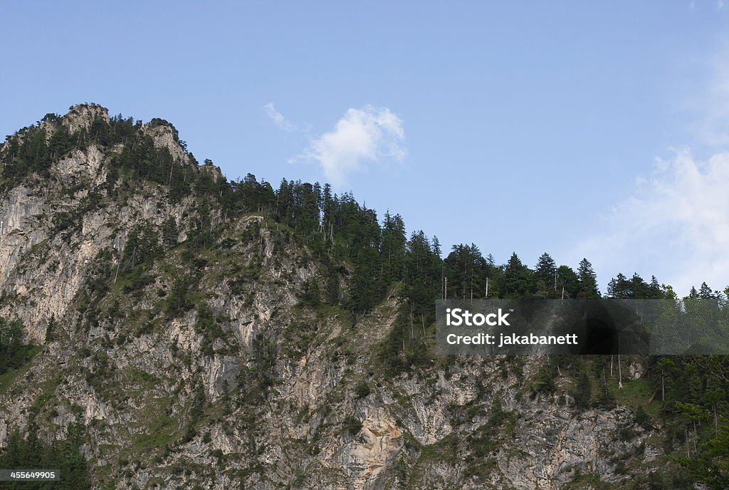 View of a rocky mountain covered with trees Rocky mountain covered with trees Austria Stock Photo