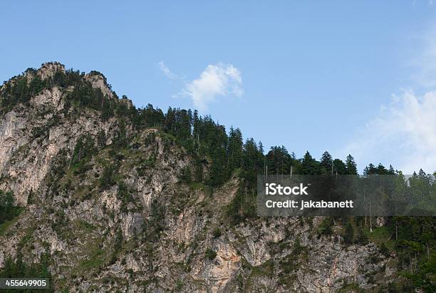 View Of A Rocky Mountain Covered With Trees Stock Photo - Download Image Now - Austria, Beauty In Nature, Blue