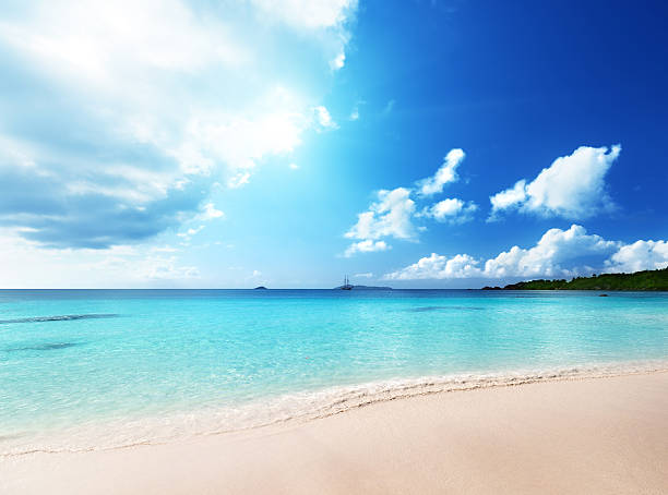 istock Anse Lazio beach at Praslin island, Seychelles 455649981