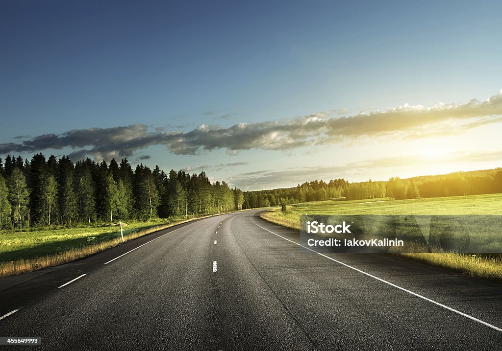 Carretera asfaltada en el bosque - Foto de stock de Verde - Color libre de derechos