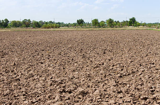 istock soil of an agricultural field 455651763
