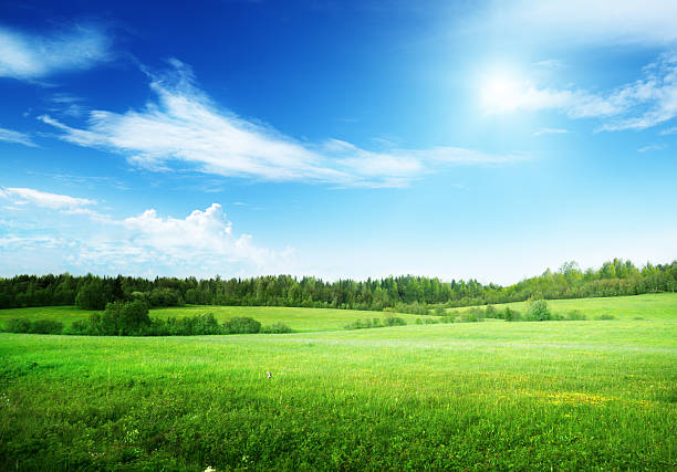campo di erba e cielo perfetto - plain meadow sky grass foto e immagini stock