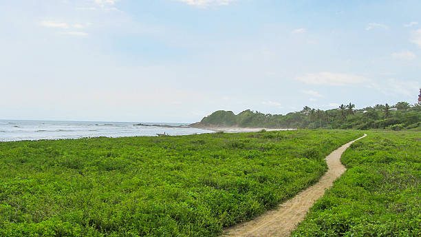 istock way to the sea 455658399