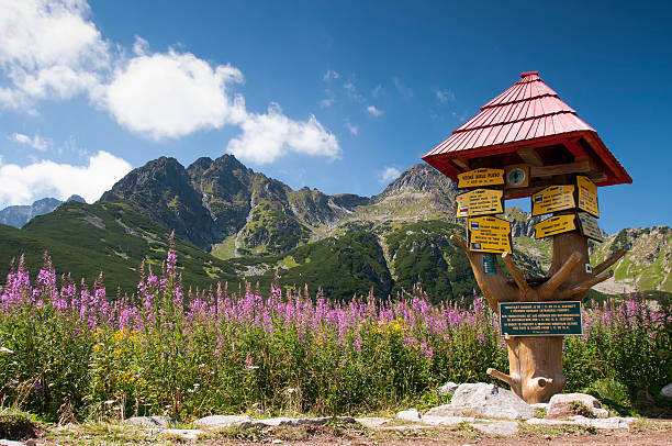 Mountain crossroad at Great White Lake, High Tatras, Slovakia Mountain crossroad marker at Great White Lake, High Tatras, Slovakia high tatras stock pictures, royalty-free photos & images