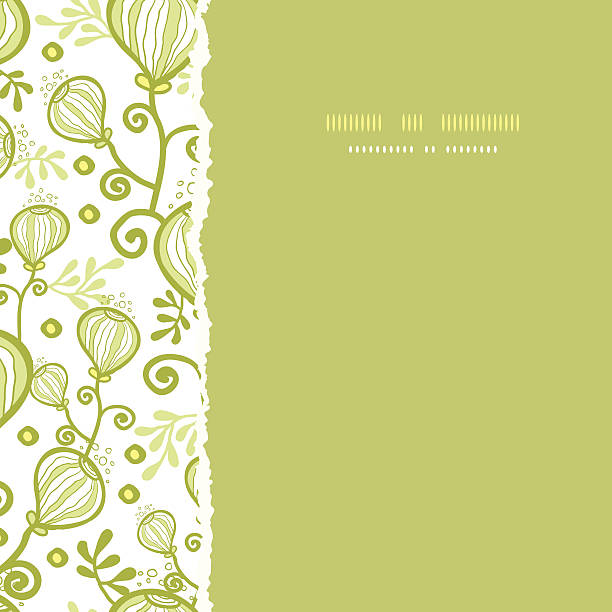 подводный абстрактный растений бесшовный узор квадратных фон torn - seaweed seamless striped backgrounds stock illustrations