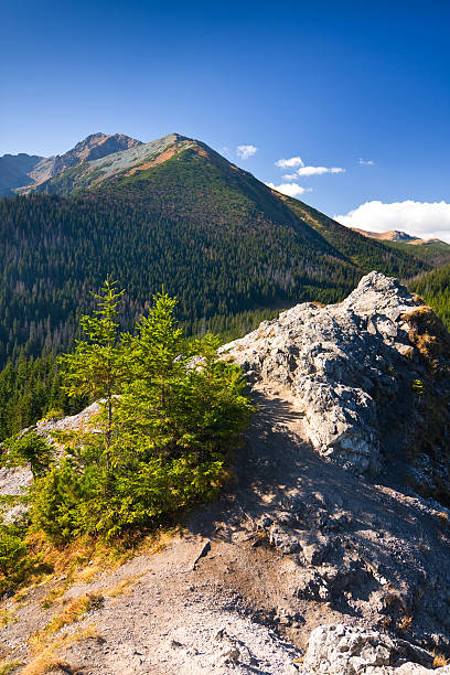 istock mountains from path with a mark of tourist trail 455659709