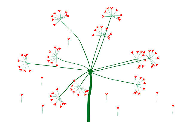 Cicuta virosa with heart - illustration Wild plant (Cicuta virosa) with heart - illustration. Adobe RGB cicuta virosa stock pictures, royalty-free photos & images