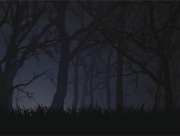 stockillustraties, clipart, cartoons en iconen met dark night - horror