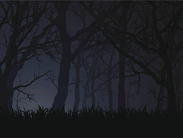темная ночь - жуткий stock illustrations