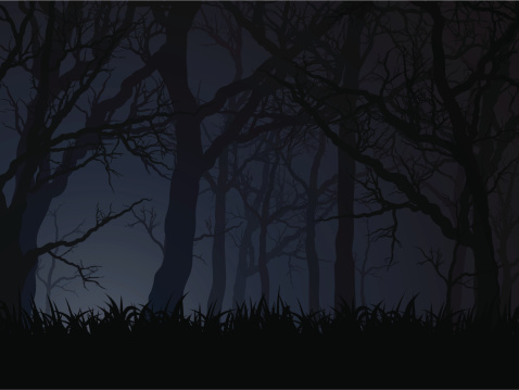 an editable vector illustration of a forest at dark night