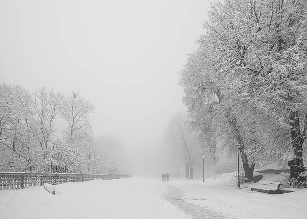 istock Winter city park in morning 455672211