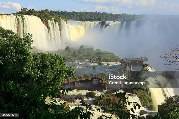 Poderoso Cataratas Iguaçu Na Luz Solar Floresta Pluvialbrasil América Do Sul - Fotografias de stock e mais imagens de Cataratas Iguaçu