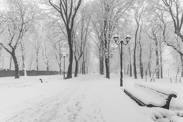 istock winter city park in morning 455683295