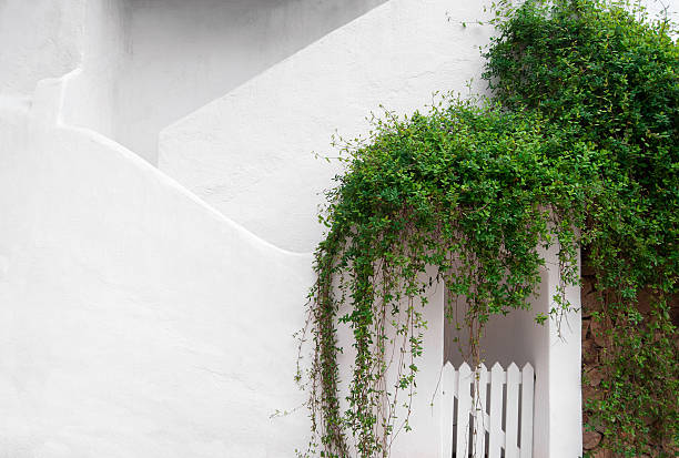 Detail of Mediterranean house, Costa Brava, Spain