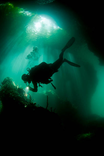 istock River diver Irian Jaya, The Passage 455690425