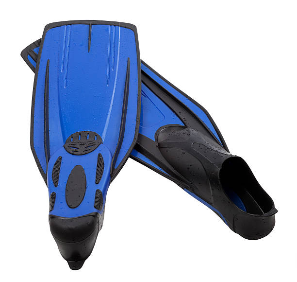istock Pair flippers for diving with water drops 455690493