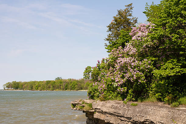 istock Lake Erie Overlook 455691297