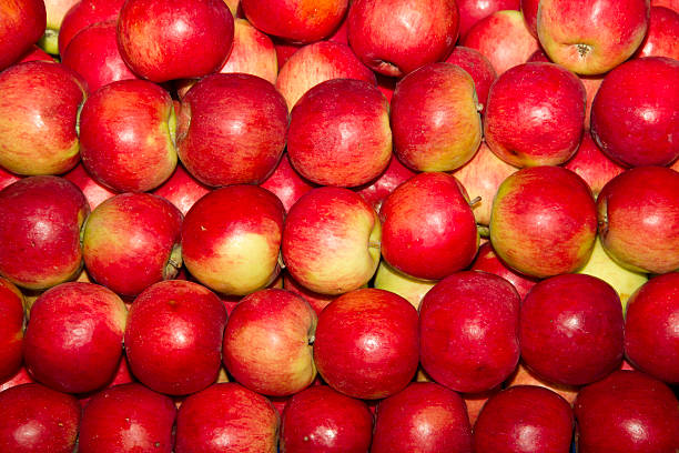 istock large group of red apples background 455697387