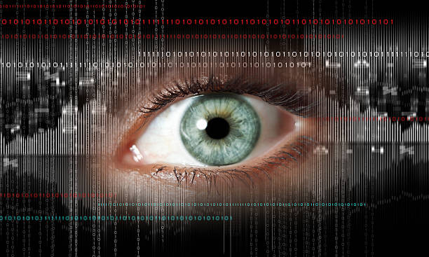 istock Digital image of woman's eye. Security concept 455713247