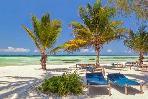 Beach Lounge Chairs under palm tree leaves at the shore