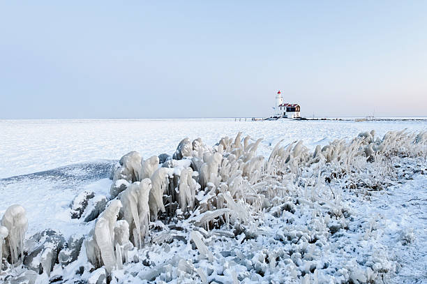 istock Frozen reeds and lake in Netherlands 455784745