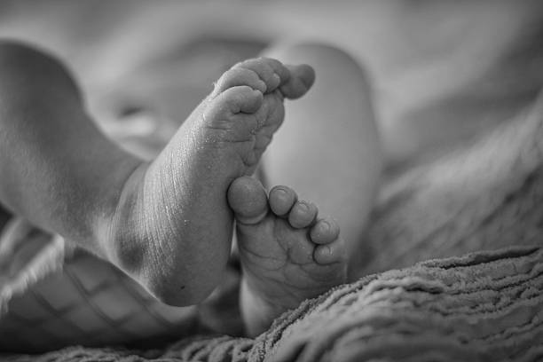 istock Newborn Baby Feet 455819327