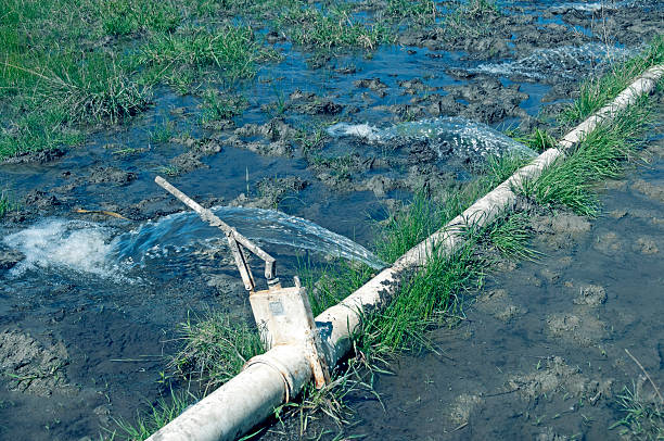 istock Water pouring from pipe into grass field 455844431