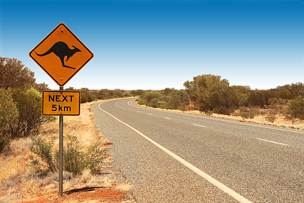 Kangaroo Sign Australia Kangaroo sign next to the road in Australia. kangaroo crossing sign stock pictures, royalty-free photos & images