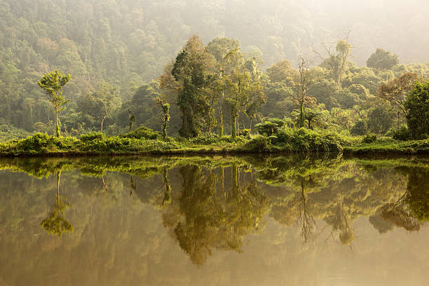 Situ Gunung Scenery Landscape