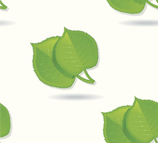 illustrazioni stock, clip art, cartoni animati e icone di tendenza di bella leafpattern (senza interruzioni). - baumblätter