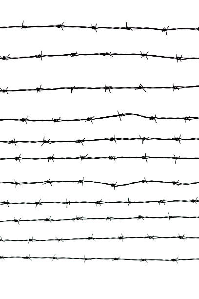 istock Lines of barbed wire against white background, copy space 455899823