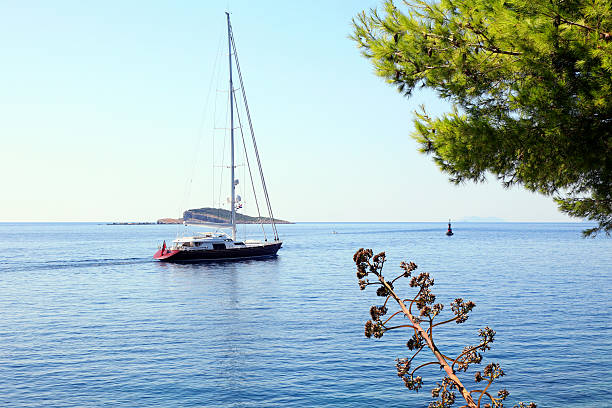 아름다운 럭셔리 요트 sails 메트로폴리스 차브타트 잔점박이 - yacht europe cavtat waters edge 뉴스 사진 이미지