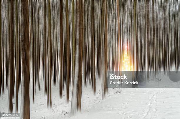 Winter Bäumen Mit Schwenken Und Christmas Light Stockfoto und mehr Bilder von Fußabdruck - Fußabdruck, Schnee, Weihnachtsbaum