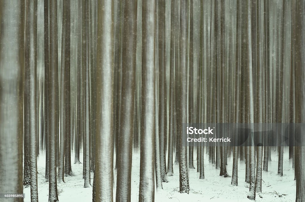 winter Bäumen mit Schwenken und fallenden Schnee - Lizenzfrei Baum Stock-Foto