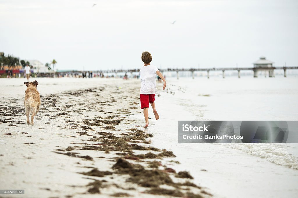 Niño corriendo en la playa con perro labrador dorado - Foto de stock de Playa libre de derechos