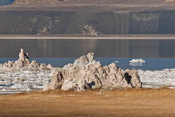 Mono Lake Tufa Formations Mono Lake in the eastern Sierra Nevada Range of California is a large, shallow saline soda lake formed at least 760,000 years ago. Because it has no outlet to the sea, high levels of salt have accumulated in the lake. These salts also contribute to the alkalinity of the lake. The lake level has dropped because water entering the lake is being being diverted into the Los Angeles aqueduct. Tufa towers, made of limestone, have appeared in the lake as the water has receded. This scene was photographed on a fall day as the sagebrush and grasses took on the glow of the setting sun. Mono Lake is in the Inyo National Forest near Lee Vining, California, USA. jeff goulden mono lake stock pictures, royalty-free photos & images
