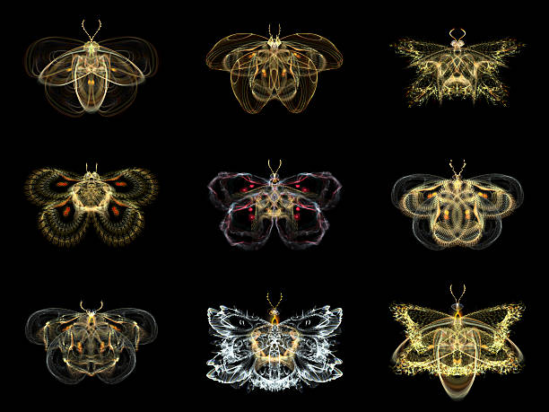 istock Virtual Fractal Butterflies 456001751