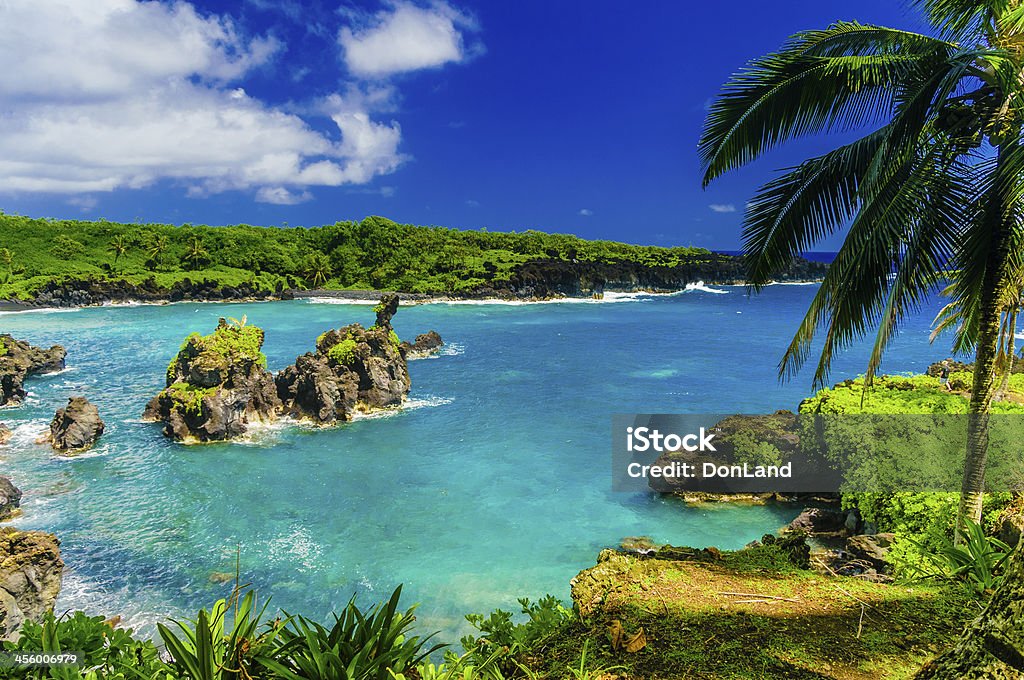 Spectacular ocean view on the Road to Hana, Maui, Hawaii. Waves breaking on the rocks on a sunny day during a spectacular ocean view on the Road to Hana, Maui, Hawaii, USA Beach Stock Photo