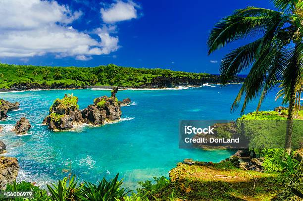 Spectacular Ocean View On The Road To Hana Maui Hawaii Stock Photo - Download Image Now