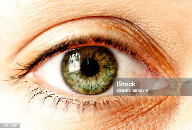 Green Human Eye Close Up Stock Photo - Download Image Now - Green Eyes, Iris - Eye, Green Color