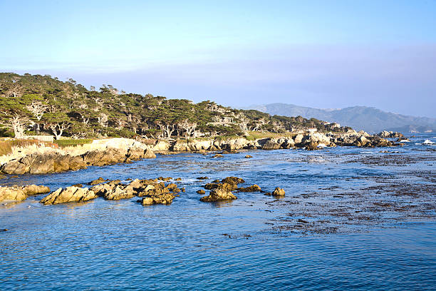 istock coastline at Point Lobos in Sunset 456009211