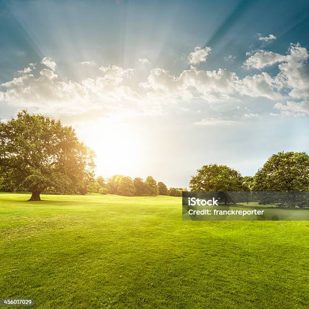 Sommerpark In Derbyshire Stockfoto und mehr Bilder von Parkanlage - Parkanlage, Sonnenuntergang, Grasland