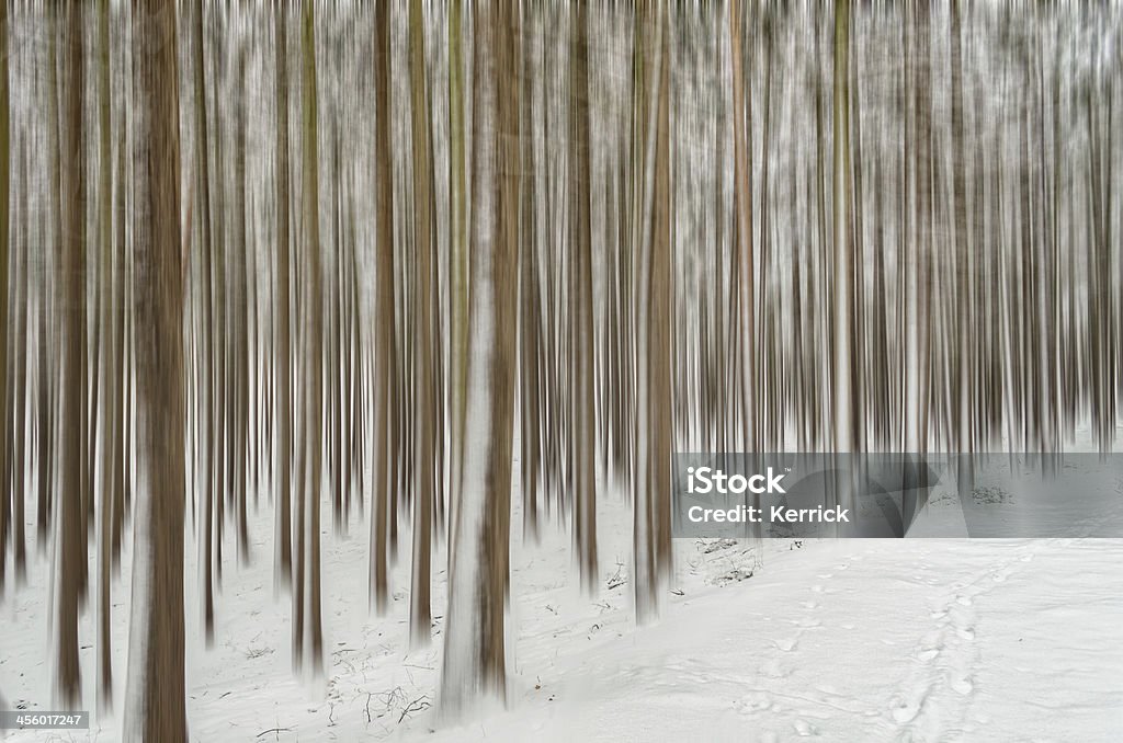 winter Bäumen mit Schwenken - Lizenzfrei Baum Stock-Foto