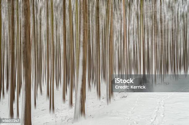 Winter Bäumen Mit Schwenken Stockfoto und mehr Bilder von Baum - Baum, Bildeffekt, Bizarr