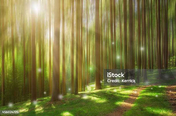 Märchen Wald Mit Sunray Stockfoto und mehr Bilder von Baum - Baum, Bizarr, Fantasiewelt