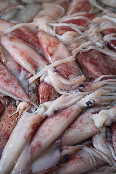 istock Fresh squids in the market 456027041